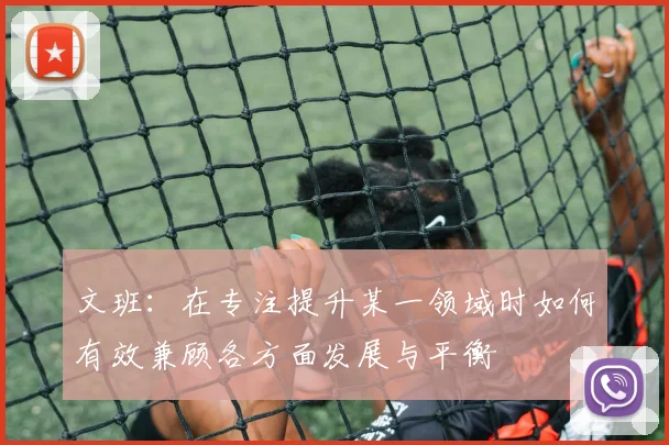 文班：在专注提升某一领域时如何有效兼顾各方面发展与平衡